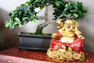 Feng shui in the home of happiness and peace