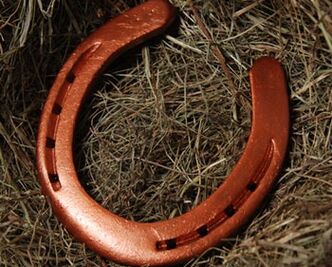 horseshoe as a great amulet of luck