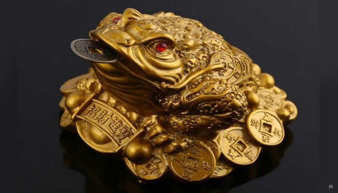 frog with a coin to attract money