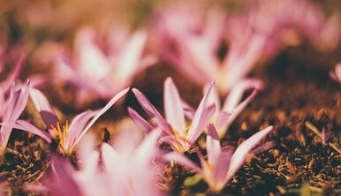 how to make a lucky charm with your own hands